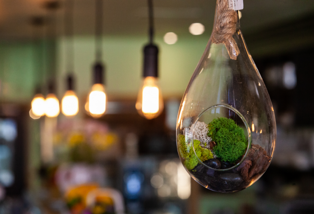 Electrical Contractors are Championing Eco-Friendly Practices